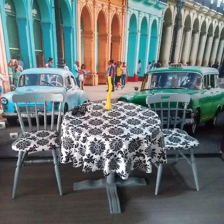 самостоятелни студия